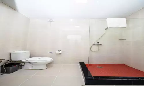 هتل شاین پالاس تفلیس هتل شاین پالاس تفلیس